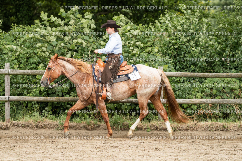 DSC04174 | Pferdegrafie