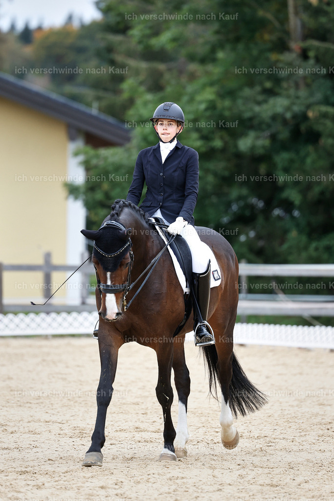 3-224-Dressur M_-StoibPH-2523 | working equitationturnier fotograf videograf stoibphotography marixx film working equitation deutschland reitsport turnierfotografie eventfotografie equestrian events