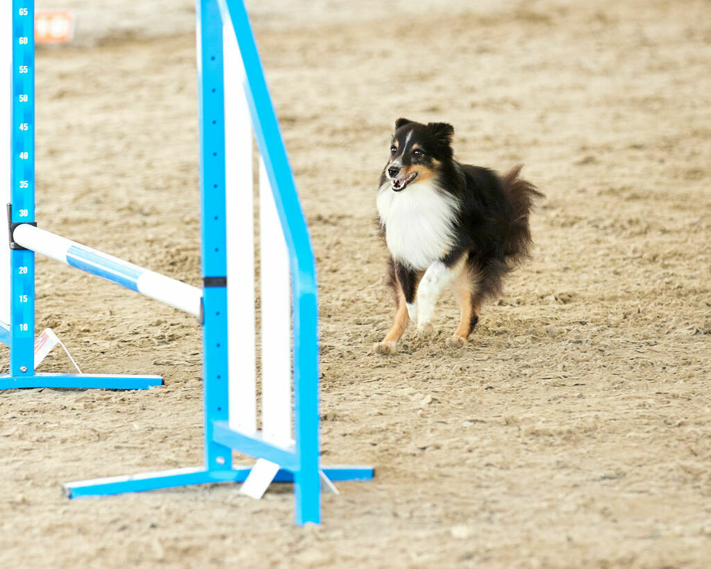 580B0110 | Peter Fridle Fotografie - Realisiert mit Pictrs.com