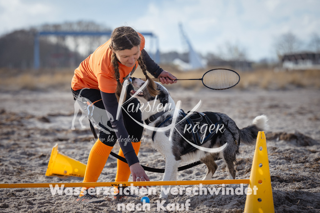 1255_ZZ99504 | kk-dogfotos