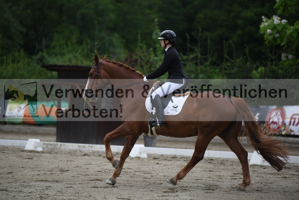 DSC_6224 | equestrian-live-com