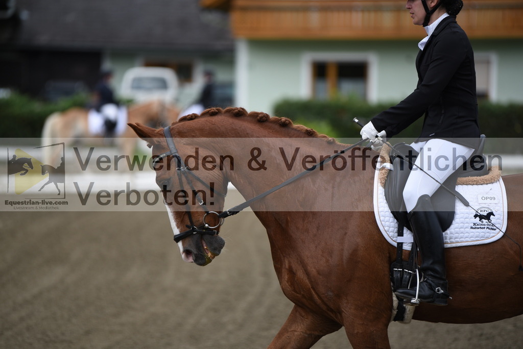 DSC_3621 | equestrian-live-com