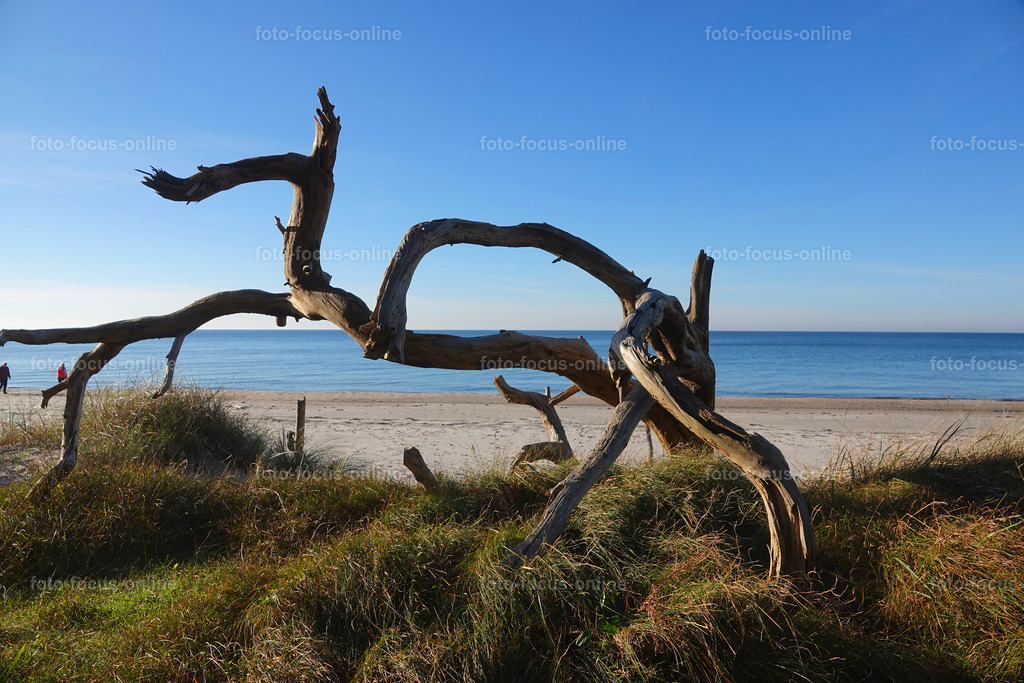 50 | foto-focus-online