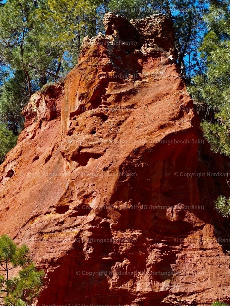 IMG_2930 | OLYMPUS DIGITAL CAMERA          - Realisiert mit Pictrs.com