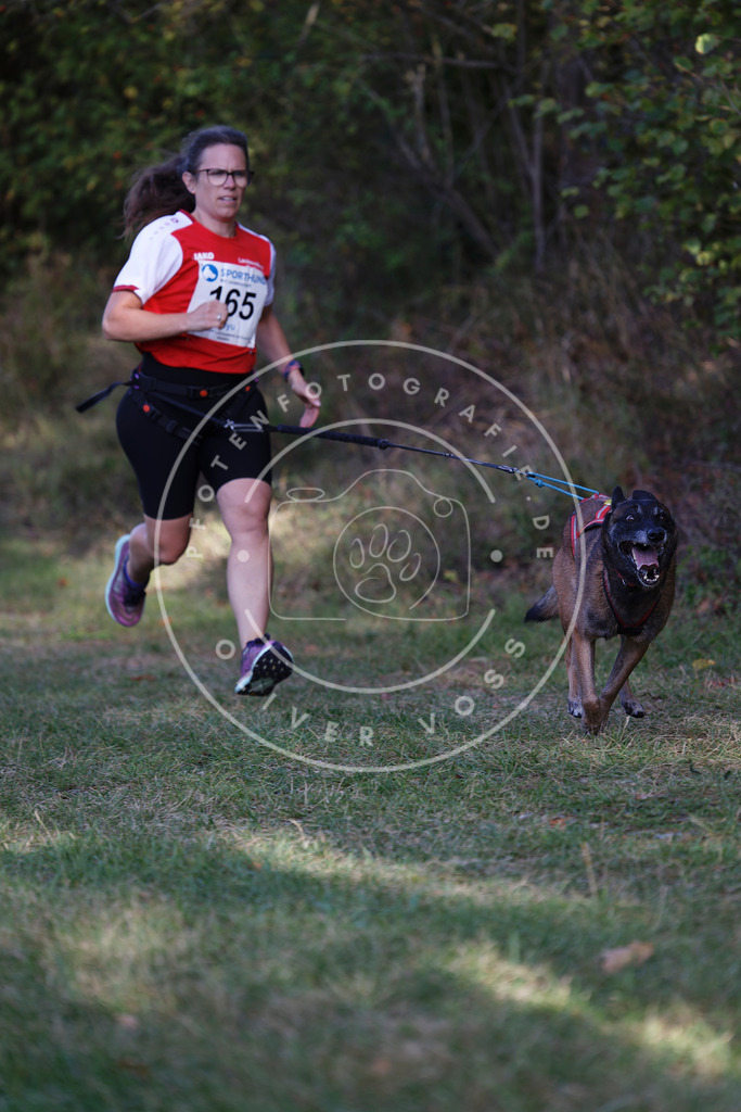 0L8A5390 | Hundefotografie, Tierfotograf, Pfotenfotografie, Fotoshooting Hund, Hunde Portrait, Hundesport, Hundeportraits, Heideshooting, Hunde, Sportfotograf, Hundefotograf, Turnierhundsport, THS,  - Realisiert mit Pictrs.com