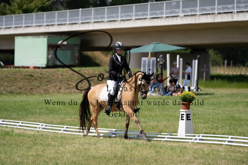 A7V09827 | Pferdefotograf