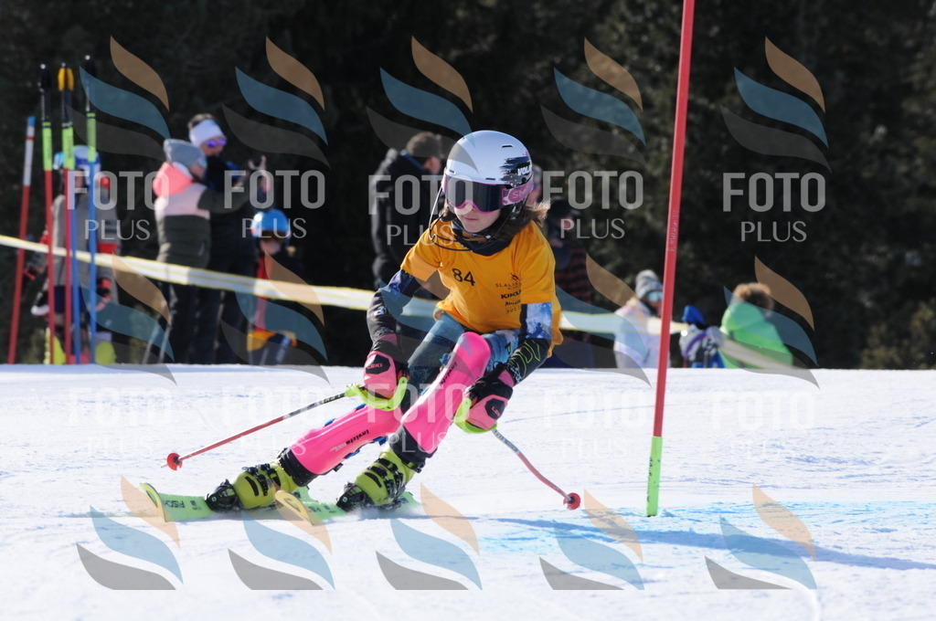 C7011 | holidayphoto