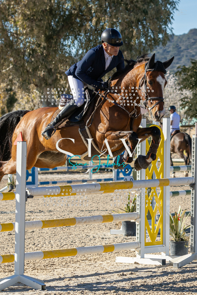 IMG_1839 | s-jay-photography - Realisiert mit Pictrs.com