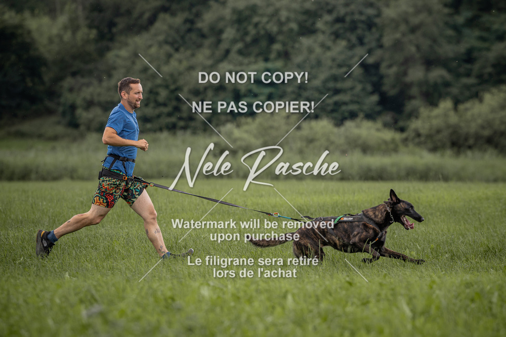 nelerasche_DoN_161 | nelerasche