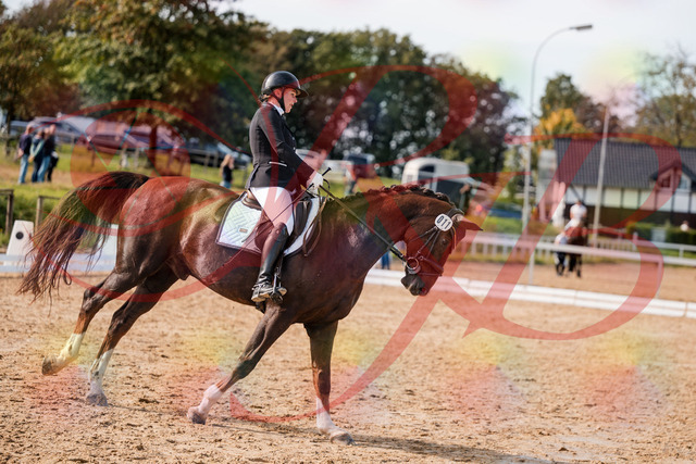 2026_10_03_Siefer-Hof_132348_Z63_85770833 | Professionelle Reitsport-, Turnier- und Eventfotografie von Robert Broda. Galerien mit ausgewählten und bearbeiteten Bildern direkt online ansehen und bestellen.