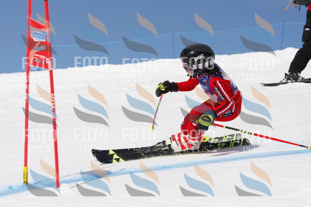 _W1G1469 | holidayphoto