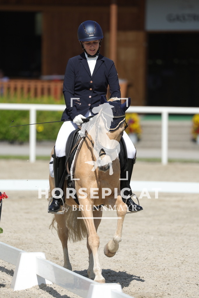 0P6A0602 | Willkommen bei Brunnmayr - Design & Fotografie – Ihrem Spezialisten für Reitturniere und Pferdeveranstaltungen in Oberösterreich, Salzburg und Bayern! Seit über 17 Jahren sind wir leidenschaftlich dabei.