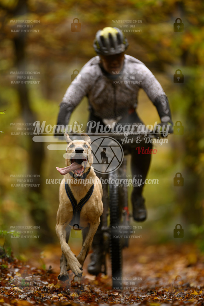 MompixPhotography_CD7S_DI_Bike-75 | mompixphotography