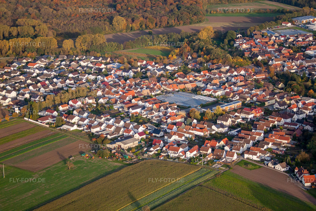 Luftbild: Kuhardt in Rülzheim im Bundesland Rheinland-Pfalz in Deutschland. Foto: IMG_60322.jpg vom 22.10.2013 durch Werner Riehm/FLY-FOTO.de