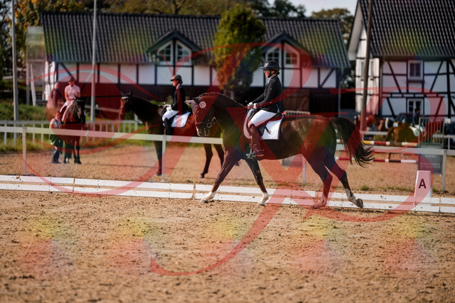 2026_10_03_Siefer-Hof_132400_Z63_86420898 | Professionelle Reitsport-, Turnier- und Eventfotografie von Robert Broda. Galerien mit ausgewählten und bearbeiteten Bildern direkt online ansehen und bestellen.