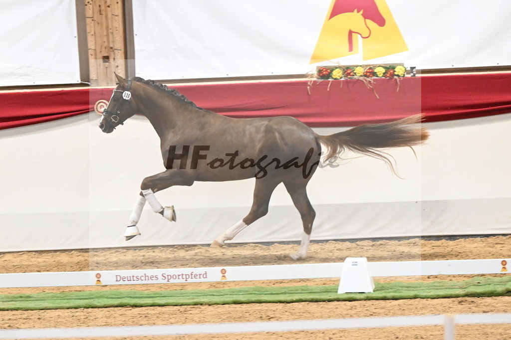 Kat.-Nr. 36 v. Benicio_Galneder_3260223 | hf-fotografie - Realizzato con Pictrs.com