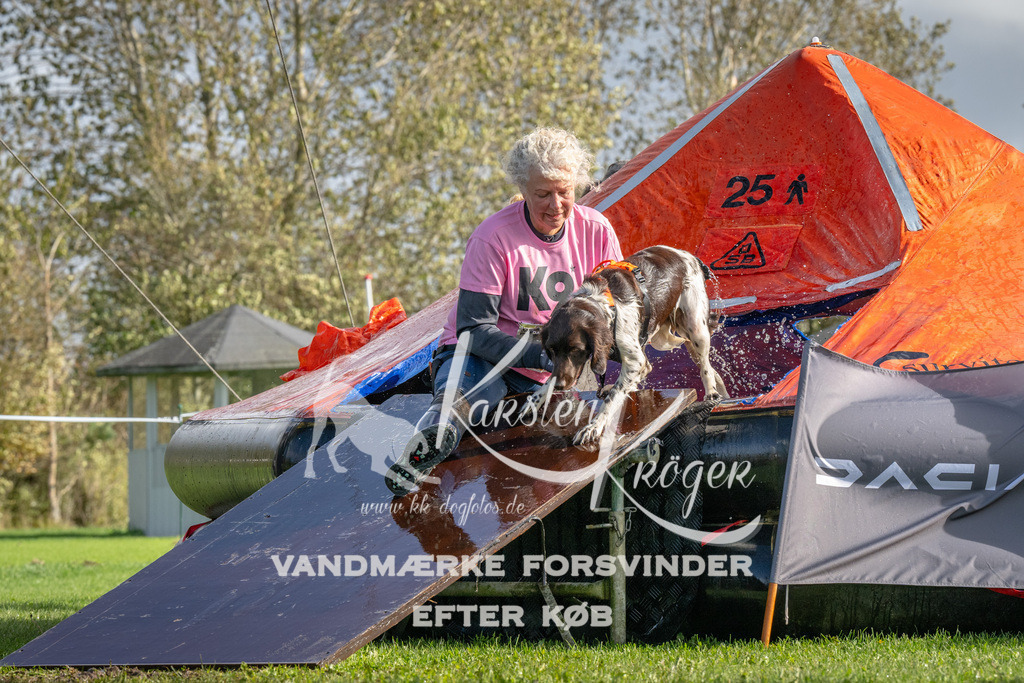 1229-93895 | kk-dogfotos