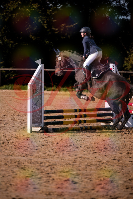 2026_10_03_Siefer-Hof_160043_Z81_81342200 | Professionelle Reitsport-, Turnier- und Eventfotografie von Robert Broda. Galerien mit ausgewählten und bearbeiteten Bildern direkt online ansehen und bestellen.