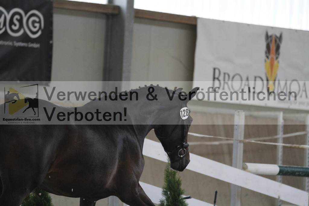 _MG_9849 | equestrian-live-com