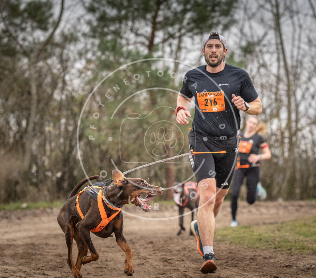 Pfotenfotografie_DV3A0472 | Hundefotografie, Tierfotograf, Pfotenfotografie, Fotoshooting Hund, Hunde Portrait, Hundesport, Hundeportraits, Heideshooting, Hunde, Sportfotograf, Hundefotograf, Turnierhundsport, THS,  - Realisiert mit Pictrs.com