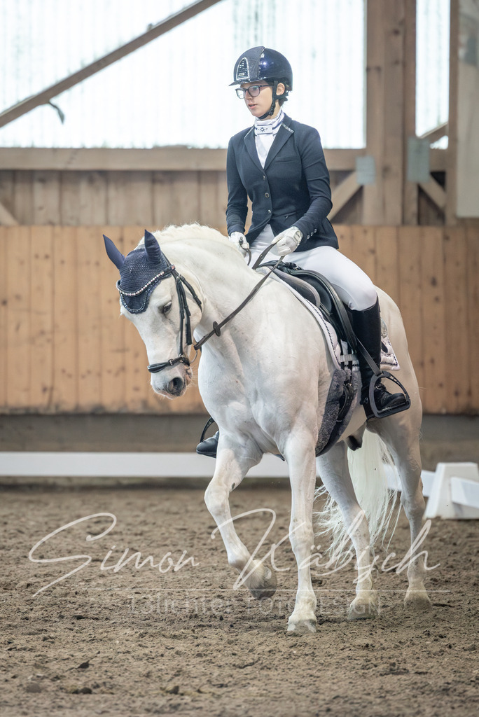 20251011-_3LI7088 | Tierfotografie Pferde, Hunde, Katzen, Haustiere.
Turnierfotografie Reitturniere, Reiten, Springreiten, Dressur in Hanau, dem Main-Kinzig-Kreis und dem Rhein-Main- Gebiet um Frankfurt