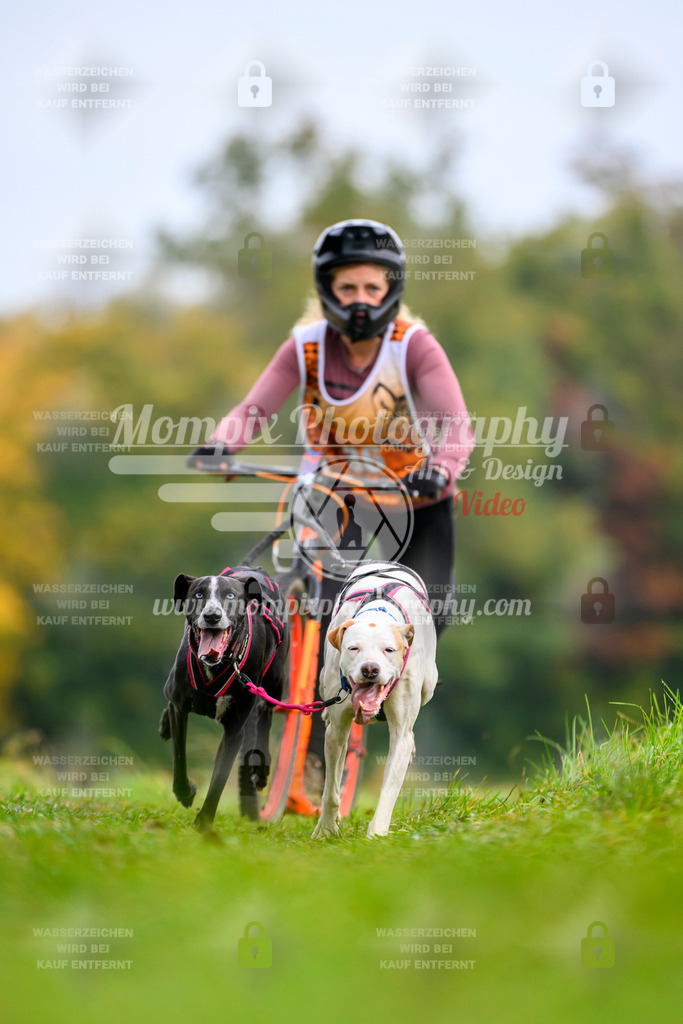 MompixPhotography_CDLBDB2025_DI_DS-24 | PayLife