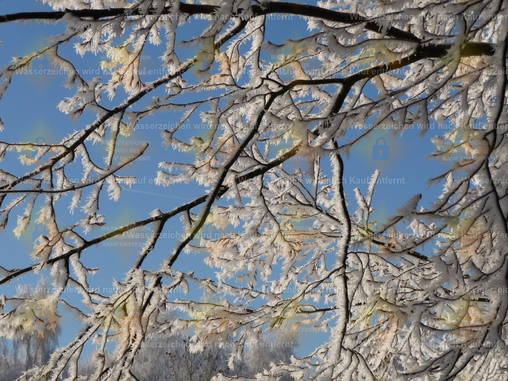 P1000219 | Fotoseite Wolkenblende - Das Hobby fotografieren begleitet mich schon  viele  Jahre. Auf den nächsten Seiten zeige ich ein paar Schnappschüsse der letzten Jahre und es kommen immer neue hinzu. Schau einfach mal rein. - Realisiert mit Pictrs.com