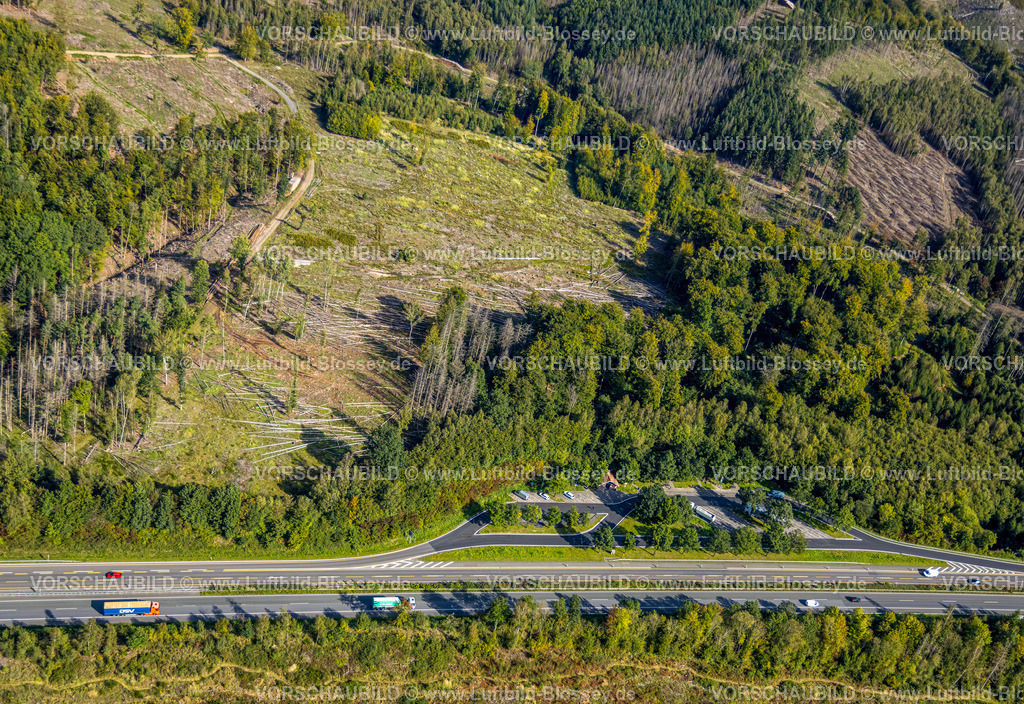 Arnsberg230904683 | Luftbild, Waldschäden Waldgebiet am Autobahn Parkplatz A46, Hüsten, Arnsberg, Sauerland, Nordrhein-Westfalen, Deutschland