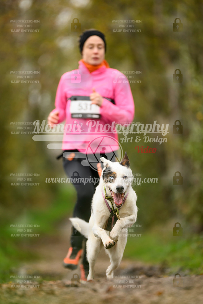 MompixPhotography_20TSB_E6_Run-214 | PayLife