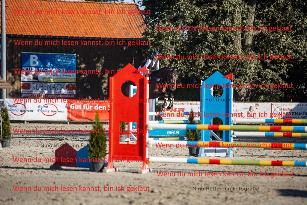 BK1A7802 | Turnierbilder Turnierfotos Nina Hüffmann Turnierfotografie Pferdefotografie Tierzeichnung Haustierzeichnung Pferdezeichnung Hundezeichnung Videograf  - Realisiert mit Pictrs.com