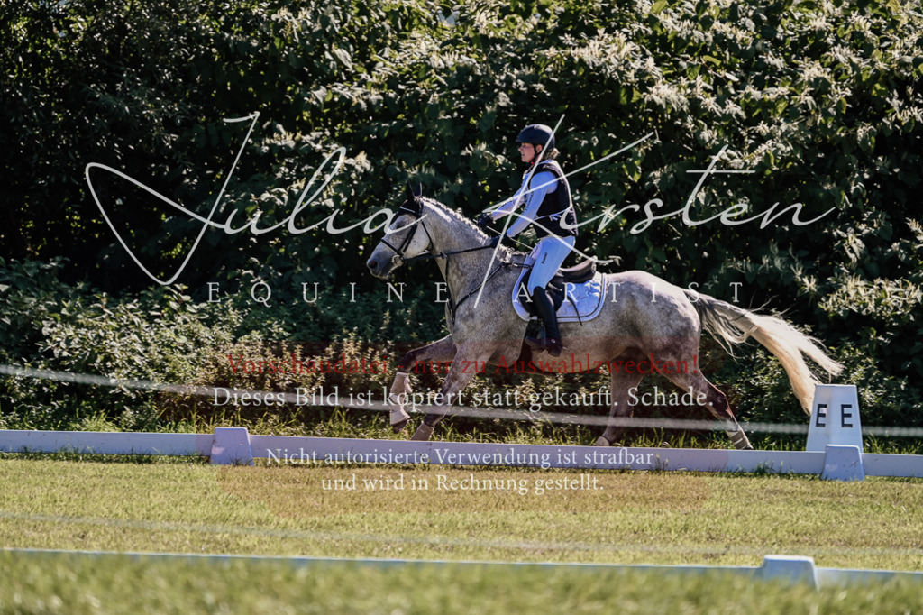 DSC_1382 | Pferde- und Turnierfotografie in Westsachsen. Pferdeportraits, Auftragszeichnungen und intuitive Kunst.