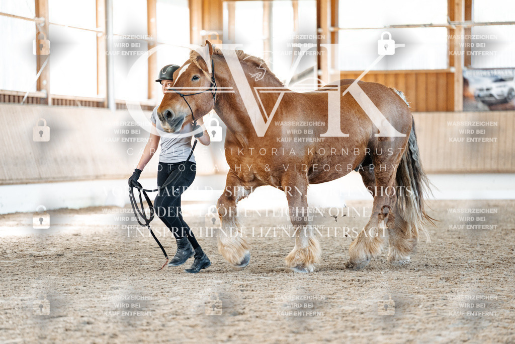 CK906405 | Turnierfotografie Pferdefotografie Trier Rheinland-Pfalz Pferdesport Reitsport Tierfotografie Sportfotografie Pferdevideo Pferdevideografie Equestrianvideography equestrianphotography  - Realisiert mit Pictrs.com
