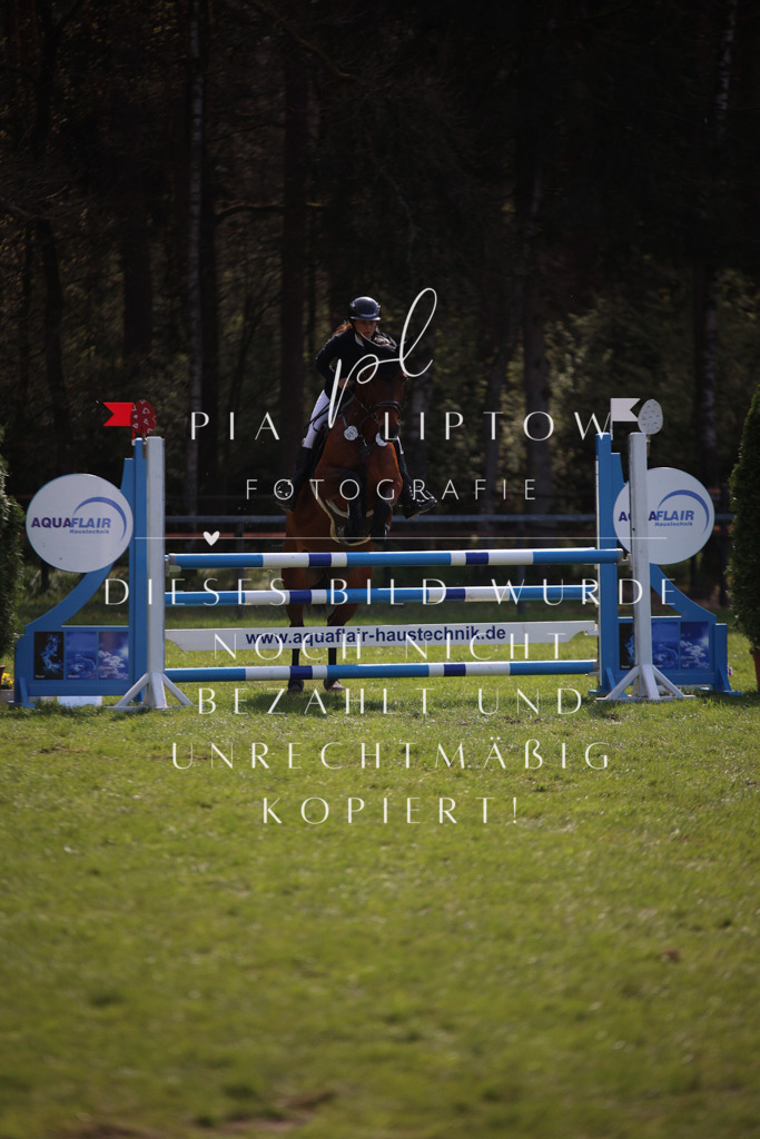 IMGT5838 | pl-fotografie