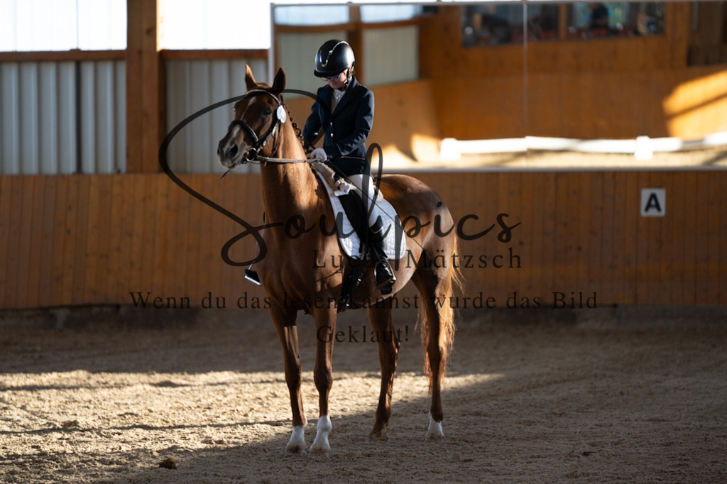 A7V01596 | Turnier/Reitfotograf