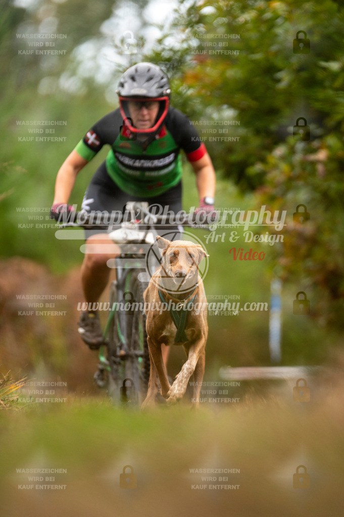 TSB_2023_E5_Bike-67 | PayLife