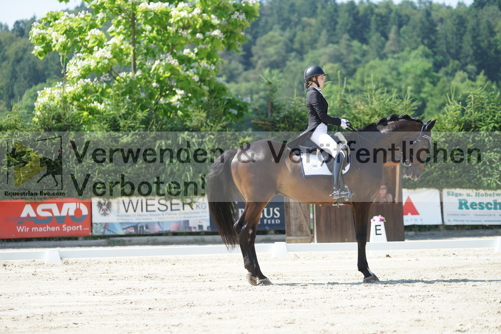 DSC02335 | equestrian-live-com