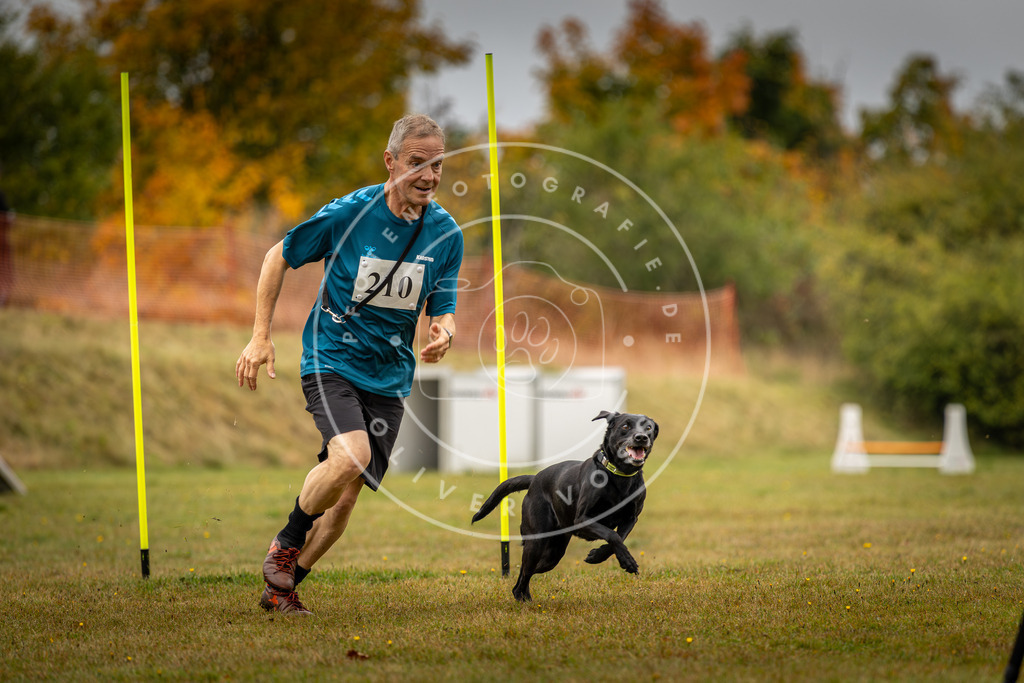 Pfotenfotografie_DV3A2380 | Hundefotografie, Tierfotograf, Pfotenfotografie, Fotoshooting Hund, Hunde Portrait, Hundesport, Hundeportraits, Heideshooting, Hunde, Sportfotograf, Hundefotograf, Turnierhundsport, THS,  - Realisiert mit Pictrs.com