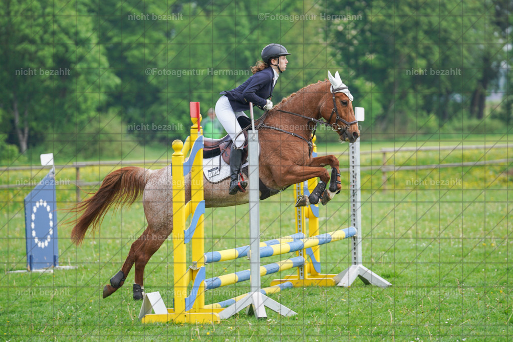 20240509-FAH02105 | Turnierbilder der Turnierfotografen Bayern, Pferdesport Fotografie, Reitsportbilder, Turnier Landberg am Lech, Turnierbilder bayern, Fotoagentur Herrmann
