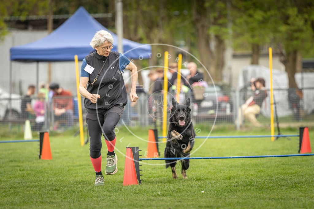 Pfotenfotografie_DV3A0916 | Hundefotografie, Tierfotograf, Pfotenfotografie, Fotoshooting Hund, Hunde Portrait, Hundesport, Hundeportraits, Heideshooting, Hunde, Sportfotograf, Hundefotograf, Turnierhundsport, THS,  - Realisiert mit Pictrs.com