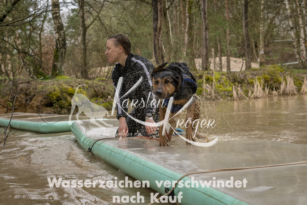 1328_ZZ90570-Bearbeitet | kk-dogfotos