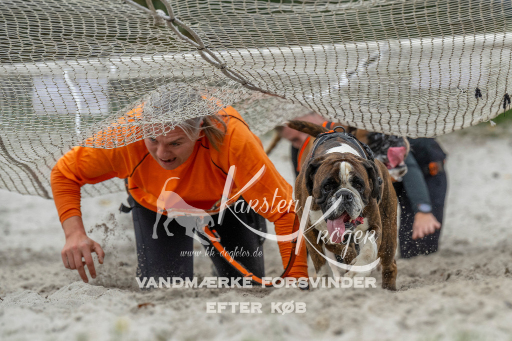 1021_ZZ93763 | kk-dogfotos