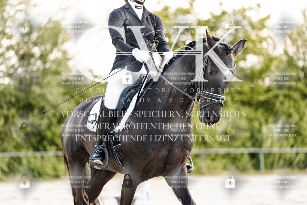 CK909392 | Turnierfotografie Pferdefotografie Trier Rheinland-Pfalz Pferdesport Reitsport Tierfotografie Sportfotografie Pferdevideo Pferdevideografie Equestrianvideography equestrianphotography  - Realisiert mit Pictrs.com