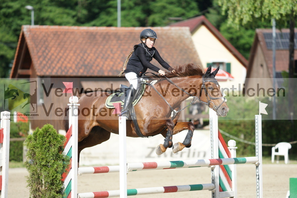 DSC08509 | equestrian-live-com