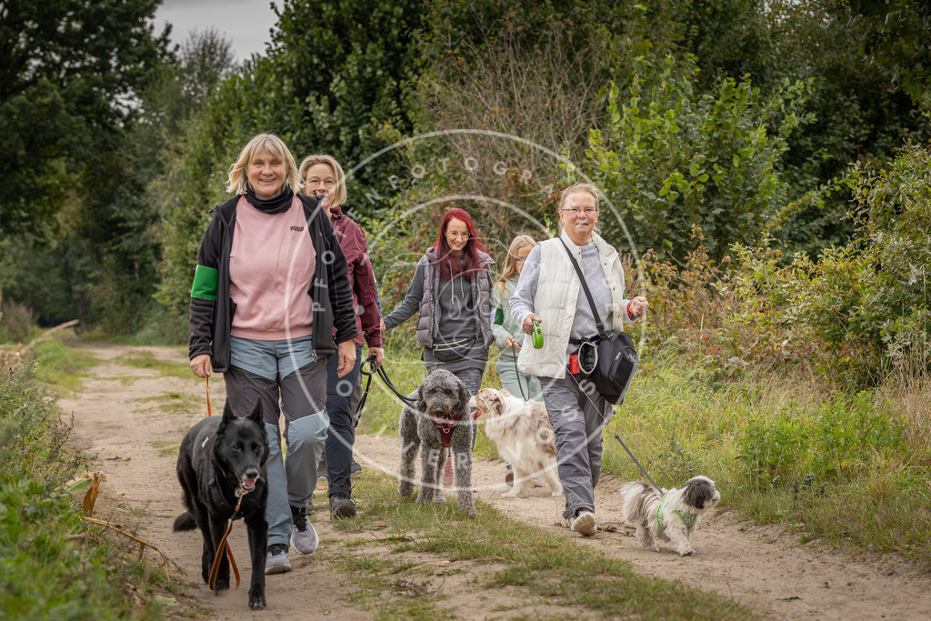 Pfotenfotografie_DV3A7650 | Hundefotografie, Tierfotograf, Pfotenfotografie, Fotoshooting Hund, Hunde Portrait, Hundesport, Hundeportraits, Heideshooting, Hunde, Sportfotograf, Hundefotograf, Turnierhundsport, THS,  - Realisiert mit Pictrs.com