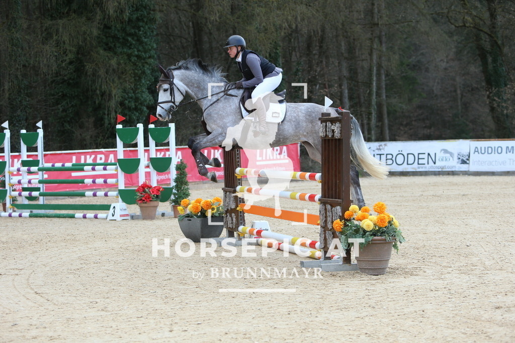DL2Q0184 | Willkommen bei Brunnmayr - Design & Fotografie – Ihrem Spezialisten für Reitturniere und Pferdeveranstaltungen in Oberösterreich, Salzburg und Bayern! Seit über 17 Jahren sind wir leidenschaftlich dabei.