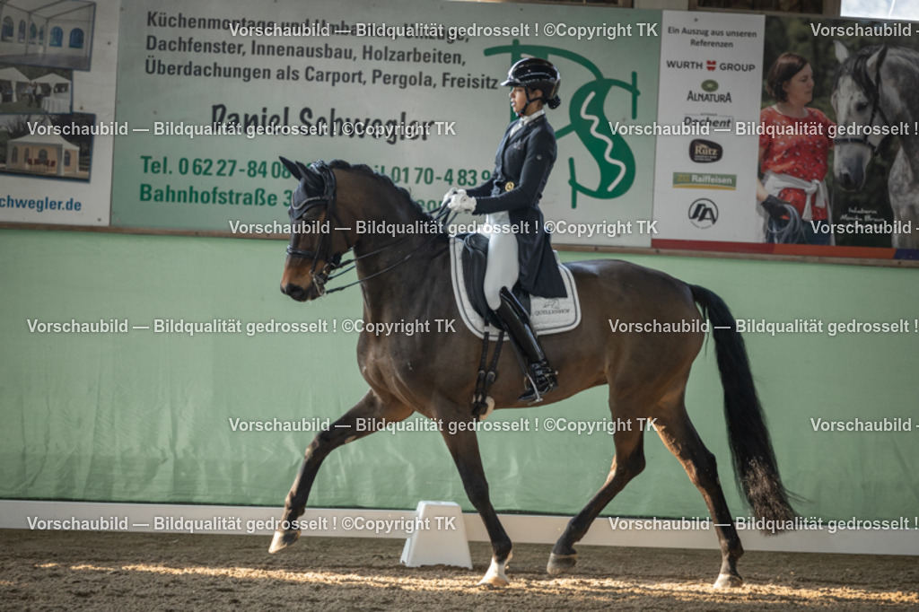 _D5A8030 | Emotionale Pferde- & People-Fotografie rund um Heidelberg, Leimen & Umgebung. Natürliche Fotos von Pferd, Mensch & Familie. Jetzt Termin sichern!