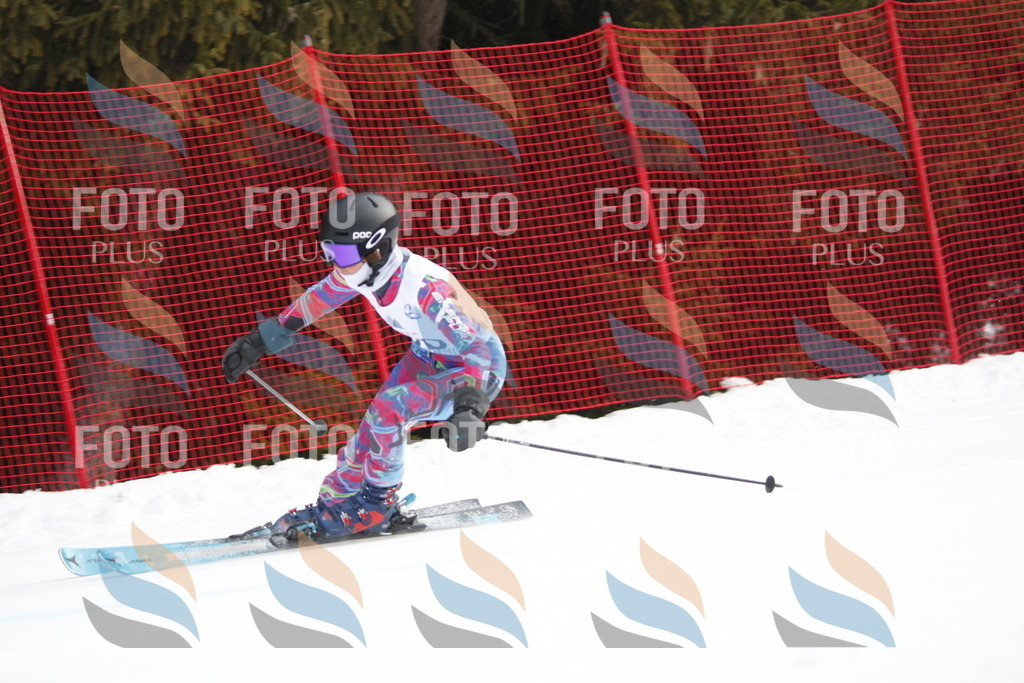 D5078 | holidayphoto