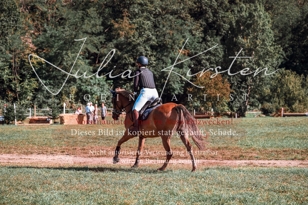 DSC_0788 | Pferde- und Turnierfotografie in Westsachsen. Pferdeportraits, Auftragszeichnungen und intuitive Kunst.