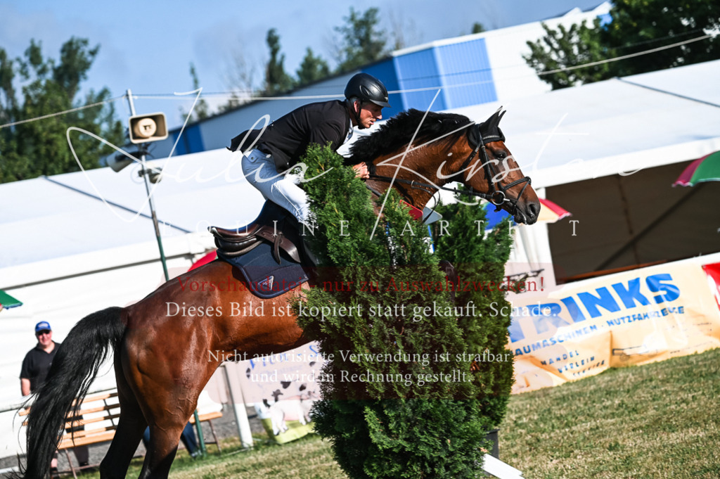 DSC_7463 | Pferde- und Turnierfotografie in Westsachsen. Pferdeportraits, Auftragszeichnungen und intuitive Kunst.