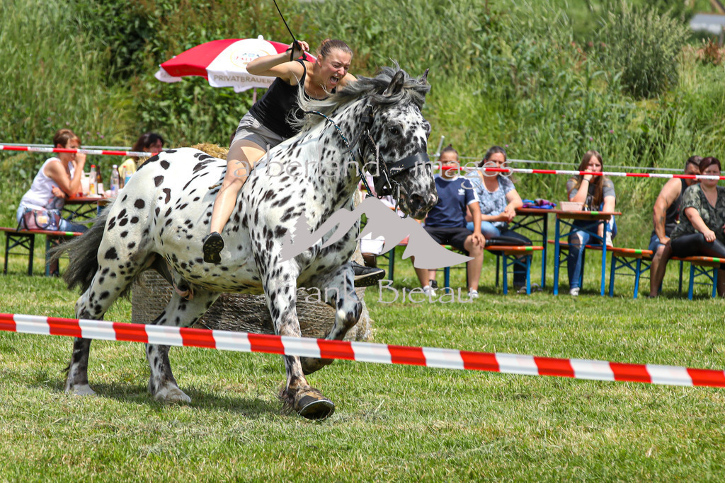 OE7A4220 | Beim Zugpferdetreffen in Poschedtsried galt es verschiedene Wettbewerbe zu meistern, Einzelrennen im Reiten, Traktorpulling und auch ein Hunderennen wurde veranstaltet